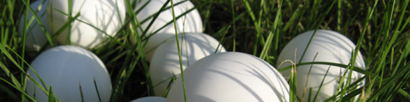 eyecatcher der abteilung tischtennis